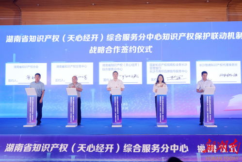 湖南知识产权服务再添新引擎 天心经开综合服务分中心正式揭牌
