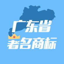 知识产权服务 创新时代的守护者与赋能者